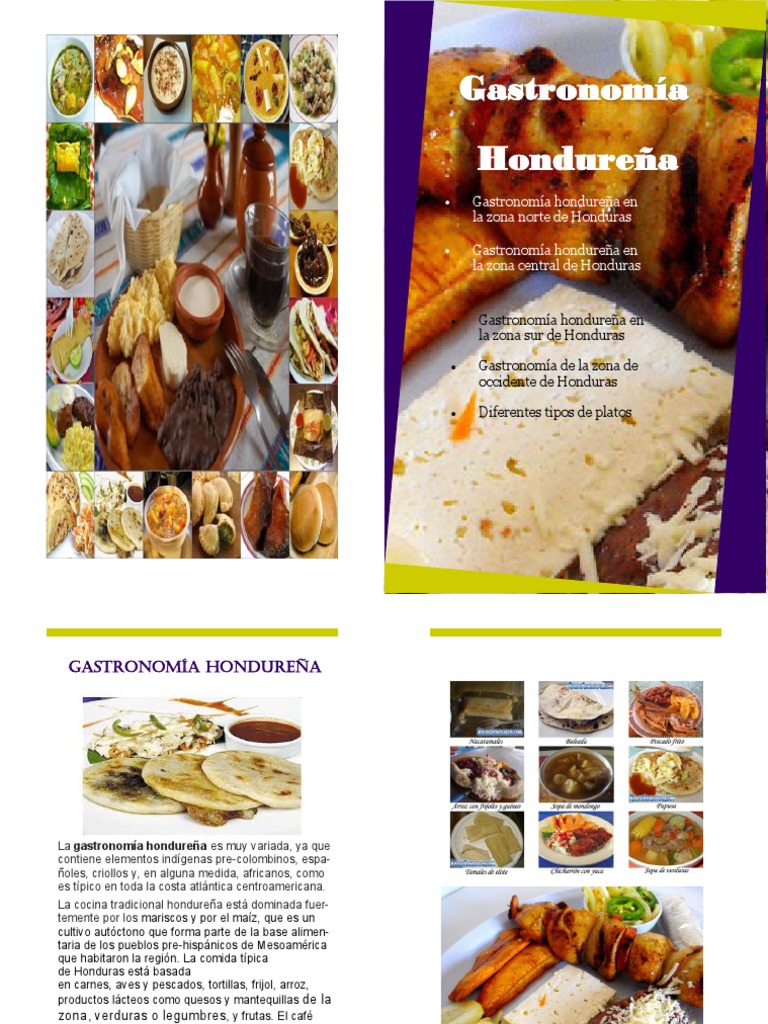 Gastronomia Hondureña | PDF | Cocina | Cocinando