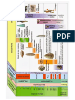 Prehistoria Tabla Eras Epocas Glaciaciones Culturas Industrias Hominidos.jpg