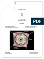 Capitulo1 PDF