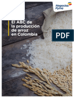 Cultivo Arroz en Colombia