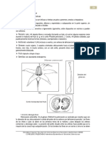 4-Solanaceae.pdf