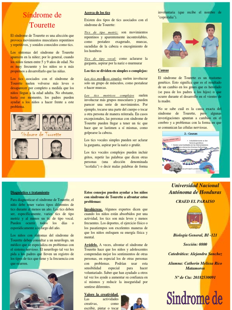 Síndrome de Tourette | PDF | Síndrome de Tourette | Especialidades Medicas