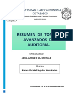 TOPICOS RESUMEN.docx
