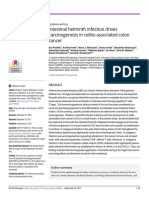 Intestinal Helminth Infection Drives Carcinogenesis in Colitis-Associated Colon Cancer