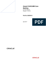 Customer Information File User Manual PDF