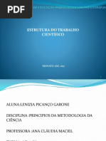 Estrutura de Trabalho Cientifico Lenizia