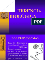 La herencia biologica.ppt