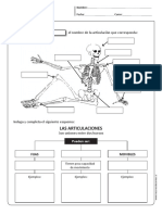 Guias de CN Sistema Oceo y Articulaciones PDF