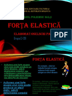 forta_elastica