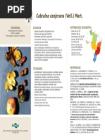  Ficha 12 Cabralea Canjerana