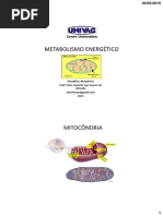 Metabolismo Energético - Prof. Danielle Ayr