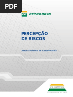 Percepção de Riscos