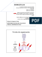 Sesion 4 Biomoleculas