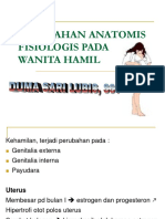 Perubahan Anatomi Fisiologis Wanita Hamil DSL SST