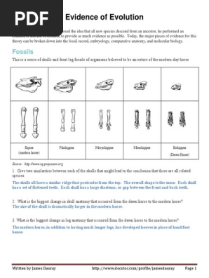 evidence-of-evolution-answer-key-pdf-anatomy-organisms