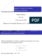 Newton PDF