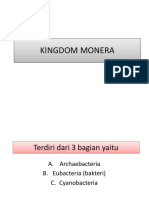 Kingdom Monera x Mipa 3