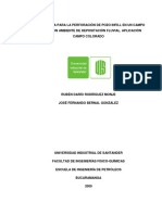 Pozo Infill Aplicacion Campo Maduro PDF