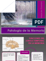 PATOLOGIA DE LA MEMORIA.pptx