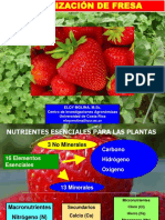 Fertilizacion de Fresas 2018 PDF