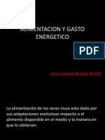 alimentación y gasto energético