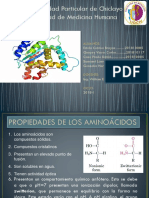 Quimica Exposicion-Proteinas Diapositivas