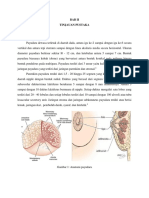 BAB II Mastitis