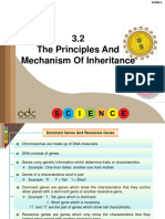 3.2 The Principles And Mechanism Of Inheritance.ppt