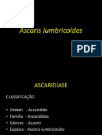 Ascaríase: causas, sintomas e tratamento