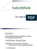 10.trichuris Trichiura