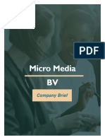 Micro Media Company Brief