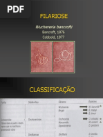 14. Filariose