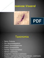 16.Leishmaniose Visceral Americana (LVA)