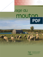l-elevage-du-mouton.pdf