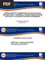 Strategic Planning for the Regional Peace and Order Council Program