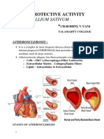 Cardioprotective Activity of Allium Sativum