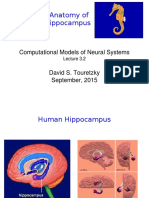 Hippocampal Prosthesis.pdf