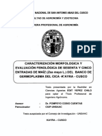 Caract Morf Fenolog Divers Maiz Cusco UNSAAC Te PDF