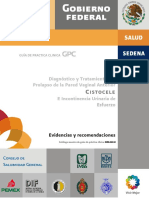 Cistocele EVR CENETEC IUE VERIF MZO PDF