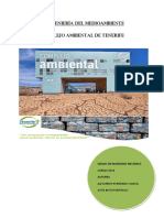 Informe - Complejo Ambiental PDF