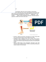 Sistem Saraf Pada Manusia Mulyanipharmaco