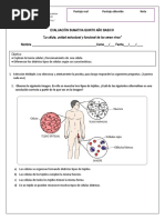 Nivel de Organizacion Celular Imprimir