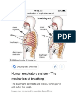 vinod diagram.doc