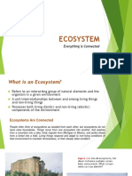 Ecosystem: Everything Is Connected