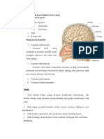 Anatomi Dan Fisiologi Otak