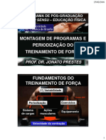TF - Montagem e Periodizao 2015 PDF