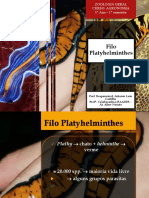 Aula - PLATYHELMINTES e NEMATODA[915].pdf