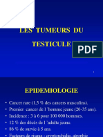 Cancer Testicule