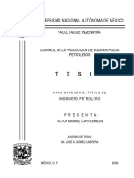 Tesis_Completa produccion de agua.pdf