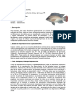 Ficha Especie Tilapia